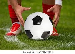 [德甲]第19轮：霍芬海姆VS法兰克福